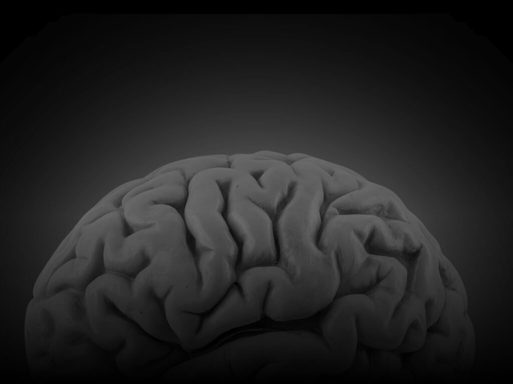 Silhueta cerebral mostrando o contraste entre reatividade emocional e controle racional no Método ORIGEN.