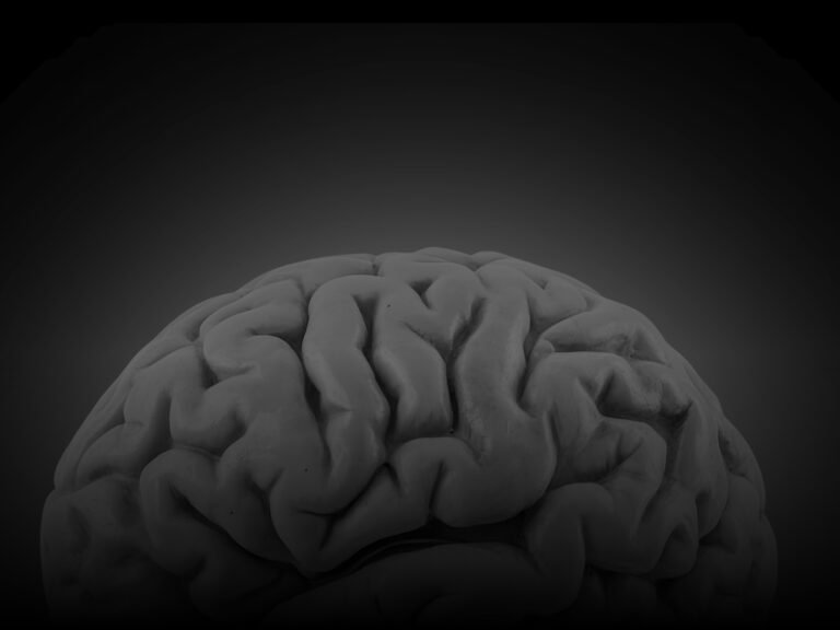 Silhueta cerebral mostrando o contraste entre reatividade emocional e controle racional no Método ORIGEN.